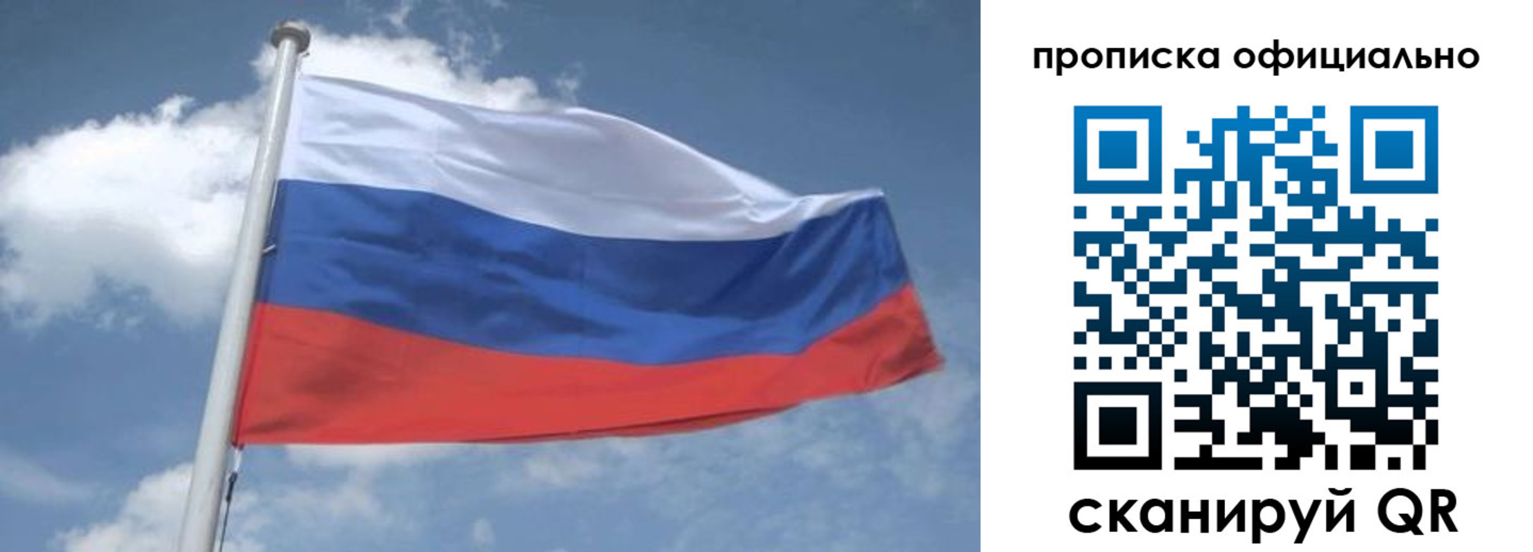 прописка для школы в Плавске